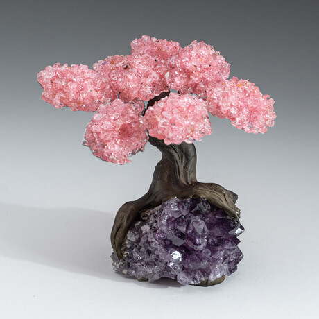 Medium Genuine Rose Quartz Clustered Gemstone Tree on Amethyst Matrix (The Love Tree)