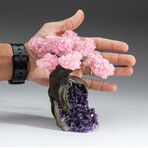 Large Genuine Rose Quartz Clustered Gemstone Tree on Amethyst Matrix (The Love Tree)