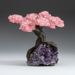 Medium Genuine Rose Quartz Clustered Gemstone Tree on Amethyst Matrix (The Love Tree)