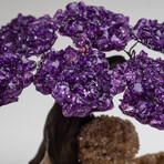 Small Genuine Amethyst Clustered Gemstone Tree on Citrine Matrix (The Empowerment Tree)