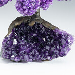 Large Genuine Amethyst Clustered Gemstone Tree on Amethyst Matrix (The Protection Tree)