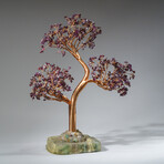 Genuine Garnet Bonsai Gemstone Tree on Flourite Base // 12”