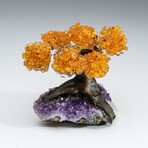 Small Genuine Citrine Clustered Gemstone Tree on Amethyst Matrix (The Money Tree)