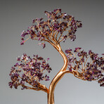 Genuine Garnet Bonsai Gemstone Tree on Flourite Base // 12”