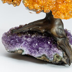 Small Genuine Citrine Clustered Gemstone Tree on Amethyst Matrix (The Money Tree)