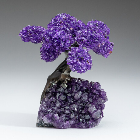 Medium Genuine Amethyst Clustered Gemstone Tree on Amethyst Matrix (The Protection Tree)