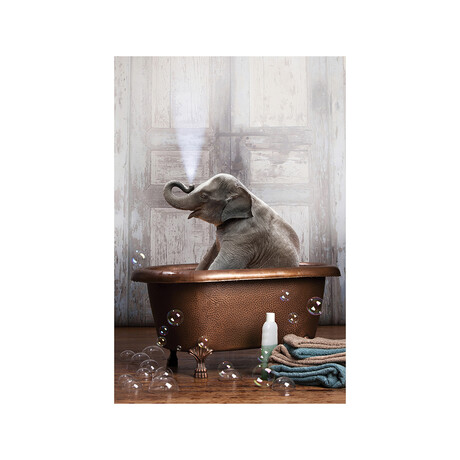 Elephant In The Tub Print on Acrylic Glass by Domonique Brown (16"H x 24"W x 0.25"D)