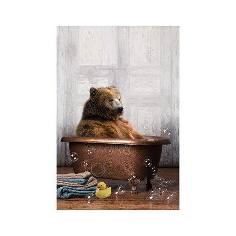 Bear In The Tub Print on Acrylic Glass by Domonique Brown (16"H x 24"W x 0.25"D)