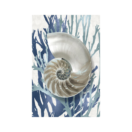 Shell Coral Aqua Blue II Print on Acrylic Glass by Caroline Kelly (16"H x 24"W x 0.25"D)