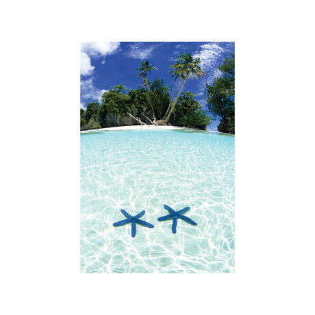 Two Sea Stars In Shallow Water, Rock Islands, Palau Print on Acrylic Glass by Michael DeFreitas (16"H x 24"W x 0.25"D)