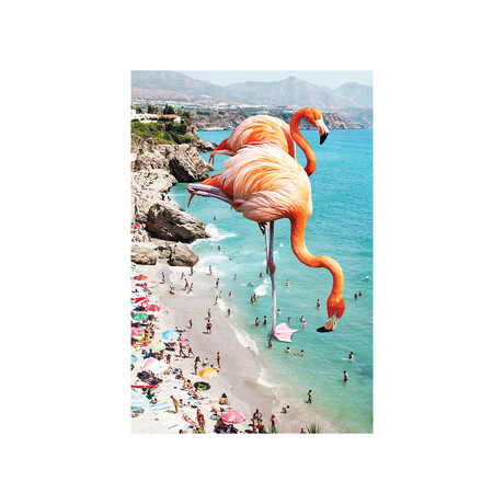 Giant Flamingos On The Beach Print on Acrylic Glass by 83 Oranges (16"H x 24"W x 0.25"D)