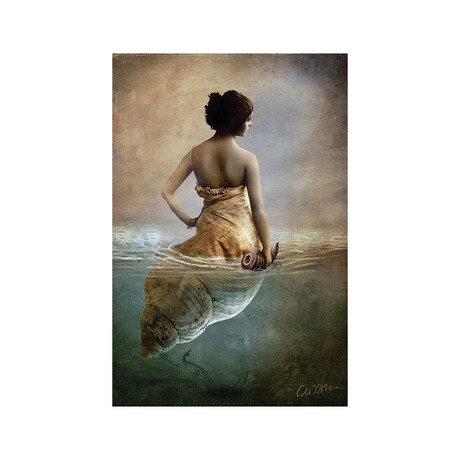 Hear Me Calling Print on Acrylic Glass by Catrin Welz-Stein (16"H x 24"W x 0.25"D)