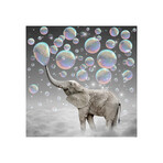 Dream Makers - Elephant Bubbles Print on Acrylic Glass by Soaring Anchor Designs (24"H x 24"W x 0.25"D)