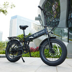 GoExpress V2 Electric Bike