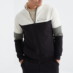 Mens' Blocked Zippered Sweatshirt + Jogger Tracksuit Set // White + Gray + Black (S)