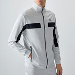 Men's High Collar Stripe Detail Zippered Sweatshirt + Jogger Tracksuit Set // Gray (S)