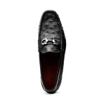 Ferrioni // Ostrich // Black (US: 8)