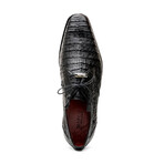 Lacio //  Caiman Fuscus Derbys // Black (US: 8)