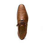 Lacio //  Caiman Fuscus Derbys // Bay Apache (US: 9.5)