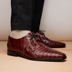 Lacio //  Caiman Fuscus Derbys // Wine (US: 8)