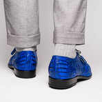 Lacio //  Caiman Fuscus Derbys // Electric Blue (US: 11.5)