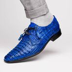 Lacio //  Caiman Fuscus Derbys // Electric Blue (US: 11.5)