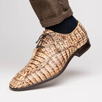 Apricena // Caiman Fuscus Oxfords // Rustic Orix (US: 9)