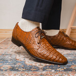 Lacio //  Caiman Fuscus Derbys // Bay Apache (US: 10)