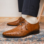 Lacio //  Caiman Fuscus Derbys // Bay Apache (US: 12)