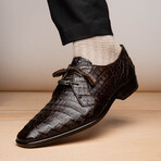 Lacio //  Caiman Fuscus Derbys // Brown (US: 8)