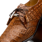 Lacio //  Caiman Fuscus Derbys // Bay Apache (US: 8.5)