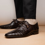 Lacio //  Caiman Fuscus Derbys // Brown (US: 9.5)