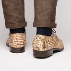 Apricena // Caiman Fuscus Oxfords // Rustic Orix (US: 9)