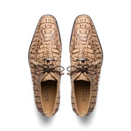 Apricena // Caiman Fuscus Oxfords // Rustic Orix (US: 10)