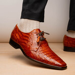 Lacio //  Caiman Fuscus Derbys // Brandy (US: 12)