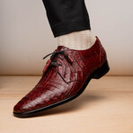 Lacio //  Caiman Fuscus Derbys // Wine (US: 11.5)