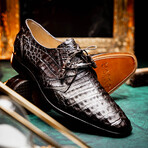 Lacio //  Caiman Fuscus Derbys // Brown (US: 11)