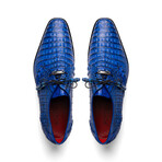 Lacio //  Caiman Fuscus Derbys // Electric Blue (US: 11)