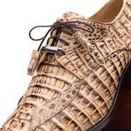 Apricena // Caiman Fuscus Oxfords // Rustic Orix (US: 8.5)