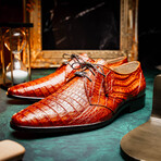 Lacio //  Caiman Fuscus Derbys // Brandy (US: 11.5)