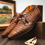 Lacio //  Caiman Fuscus Derbys // Bay Apache (US: 9.5)