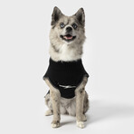 3X-Large Shinola Pet Logo Sweater // Black