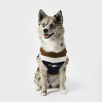 Medium Shinola Pet Brand Stripe Sweater // Brown