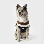 Large Shinola Pet Brand Stripe Sweater // Brown