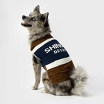 Large Shinola Pet Brand Stripe Sweater // Brown