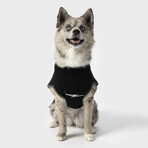 X-Large Shinola Pet Logo Sweater // Black