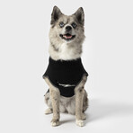 Small Shinola Pet Logo Sweater // Black