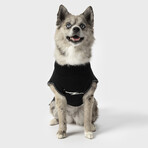 Medium Shinola Pet Logo Sweater // Black