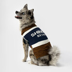 Medium Shinola Pet Brand Stripe Sweater // Brown