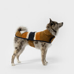 Medium Shinola Dog Coat // Brown